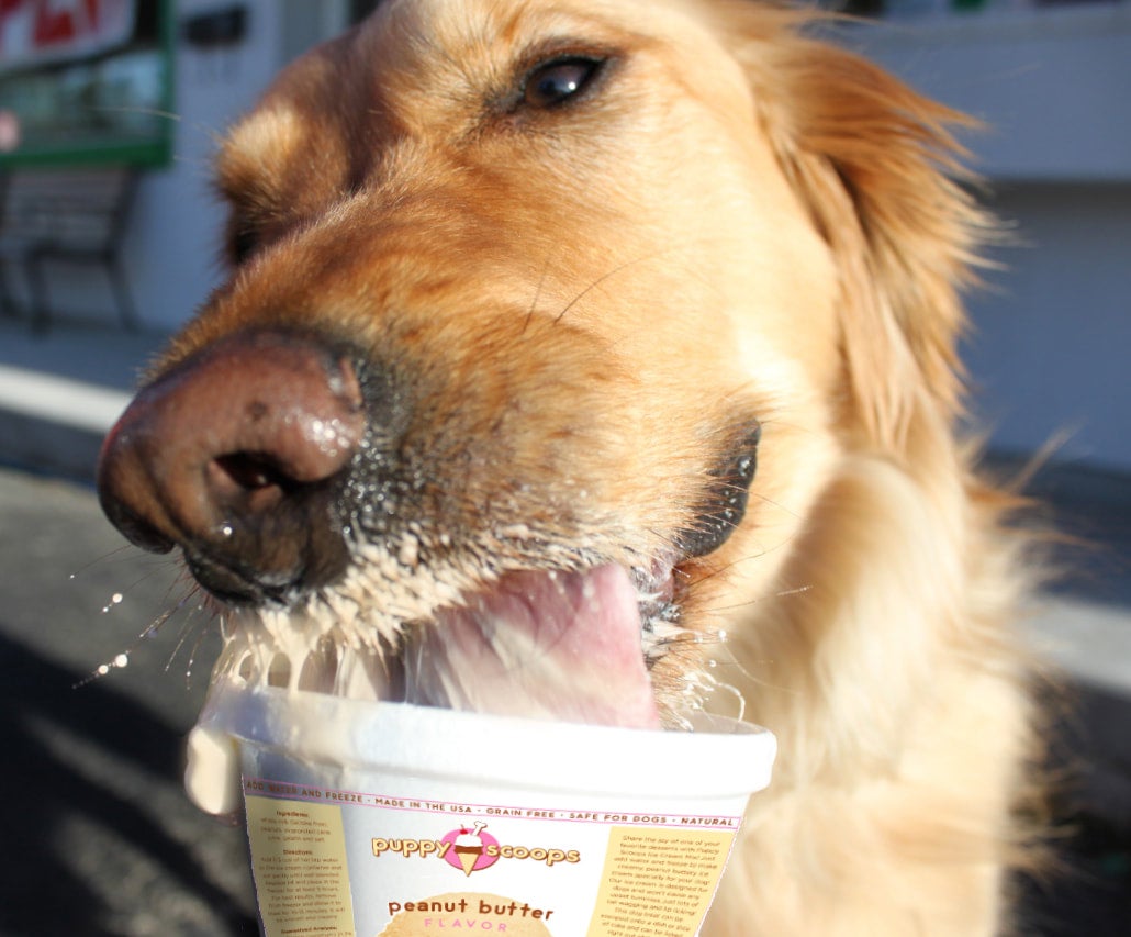 PUPPY SCOOPS Ice Cream Mix Barks N Rec