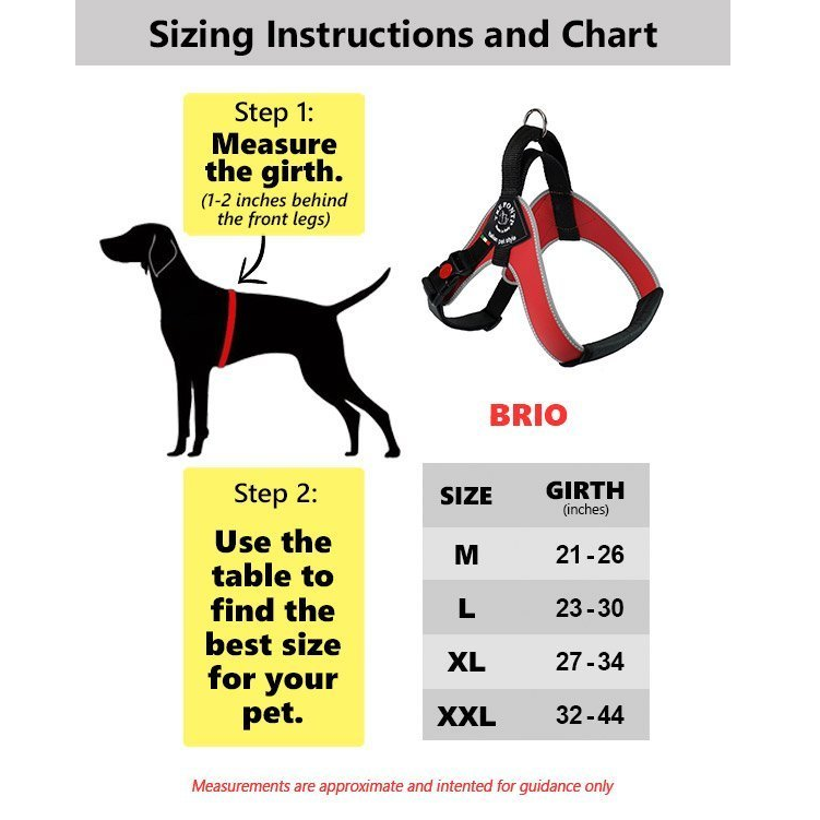 How To Put On A Dog Harness: Step-By-Step Directions From An