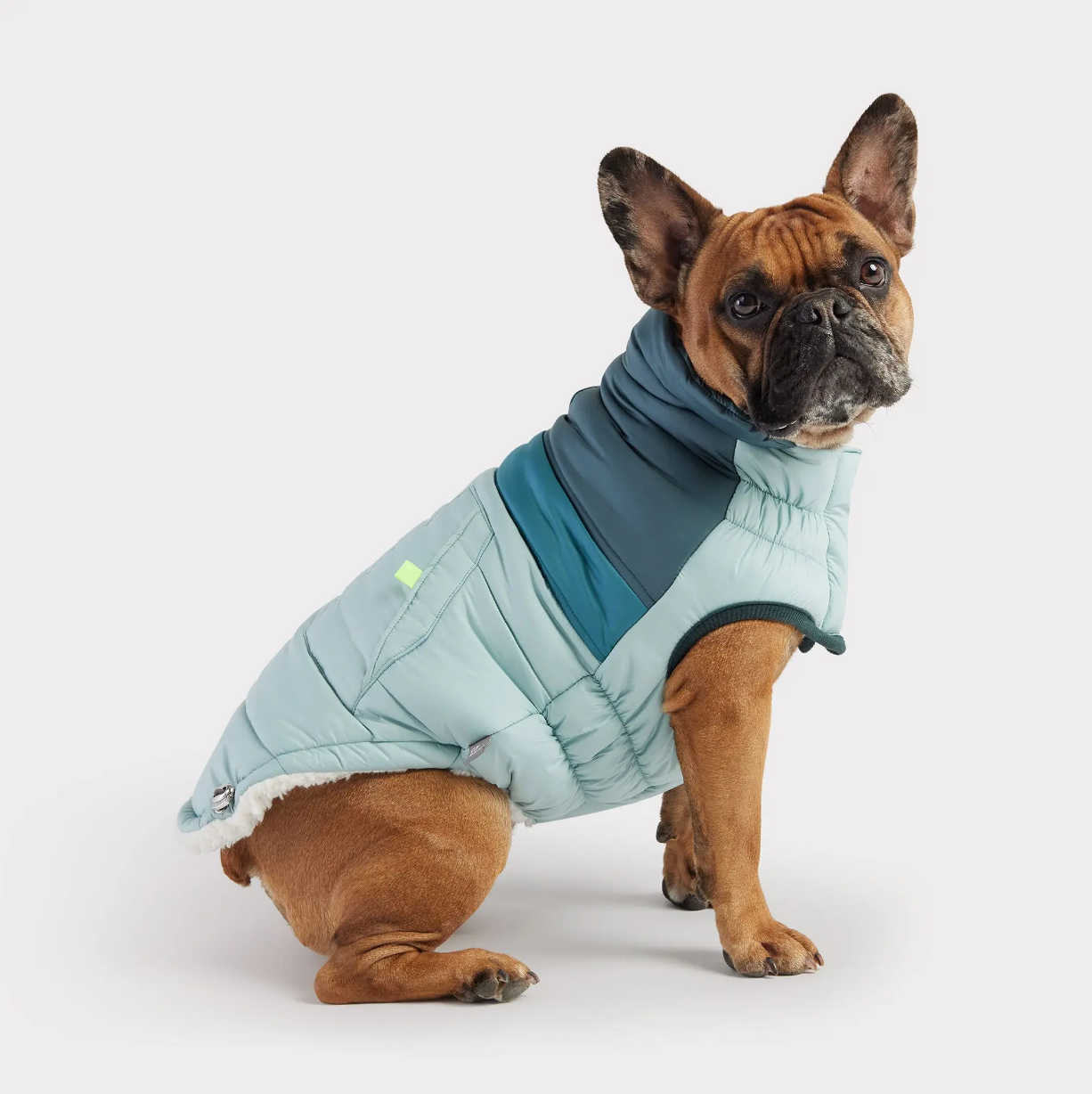 Keepcool dog cheap coats